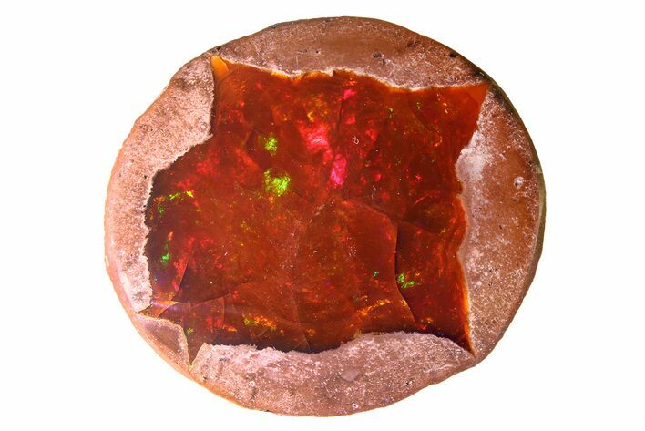 Polished Ethiopian Chocolate Opal Nodule - Yita Ridge #316181